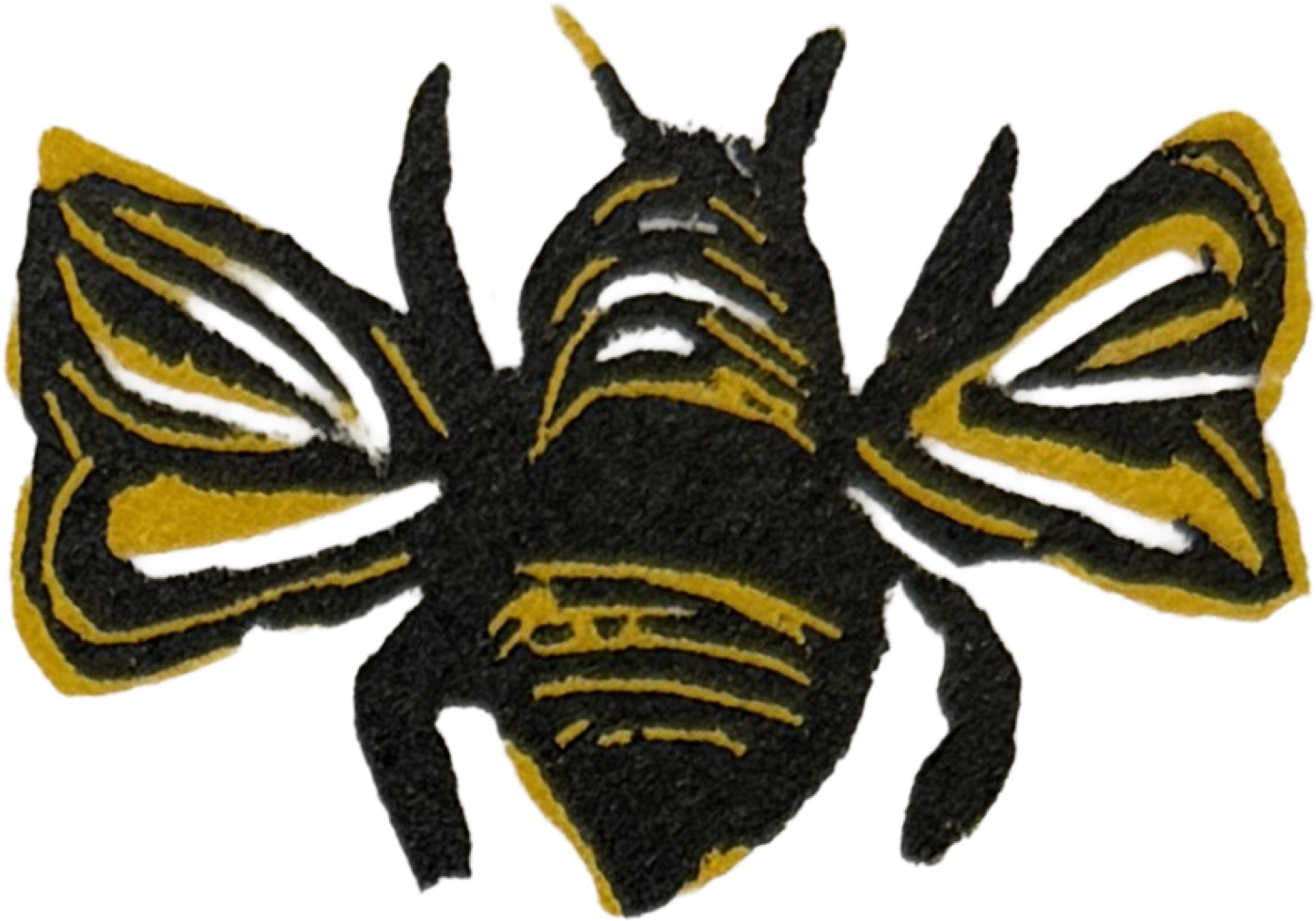 Black bee with gold-striped wings and white wing details, viewed from above on white background.