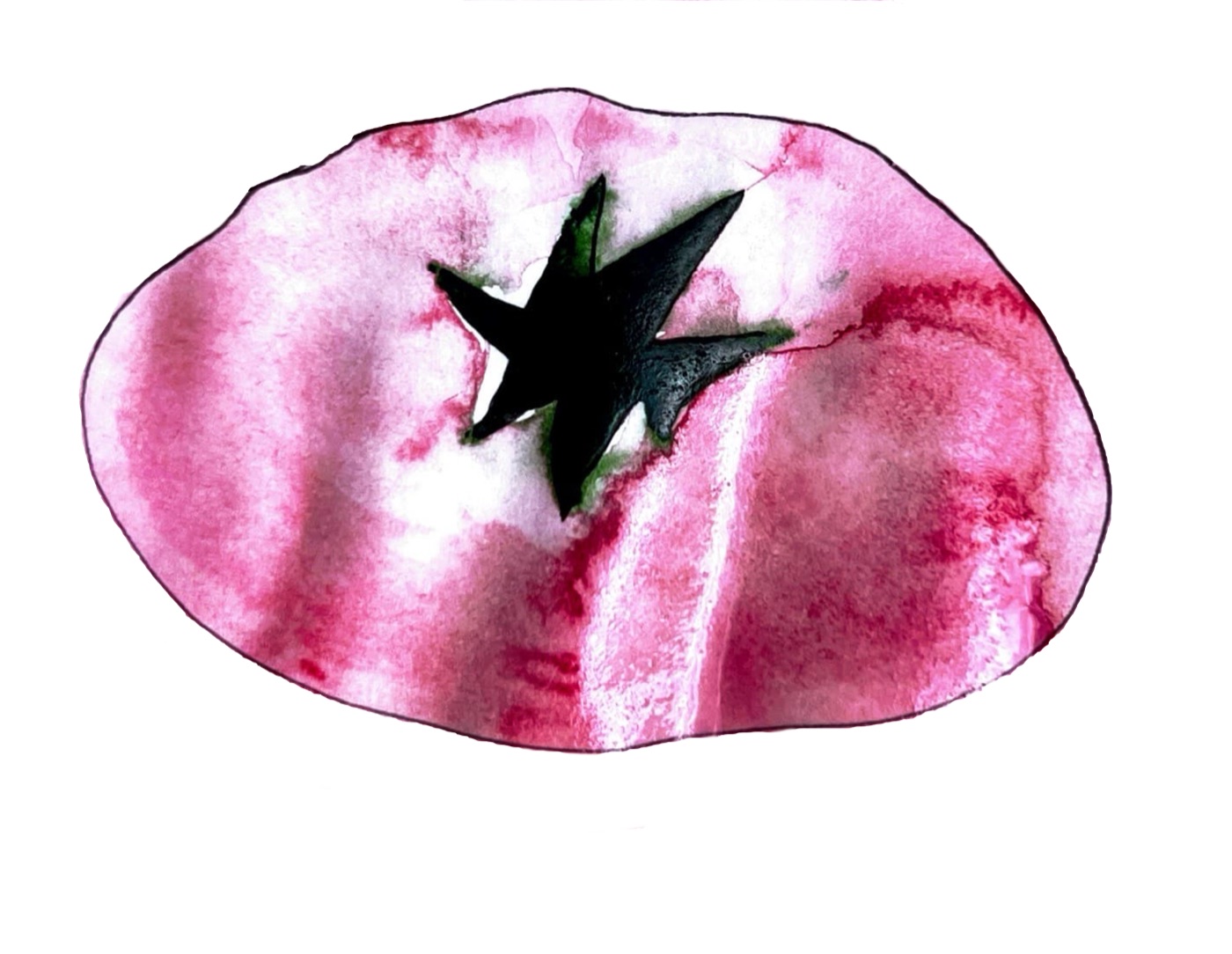 Watercolor painting of a magenta bell pepper with a black star-shaped sepal on white background.