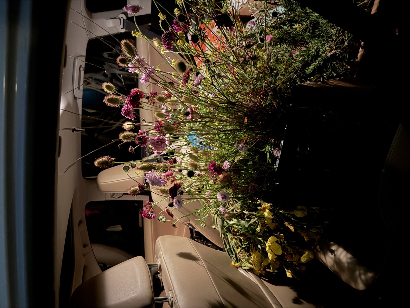 A car interior densely filled with dried flowers, seedpods, and botanical arrangements.