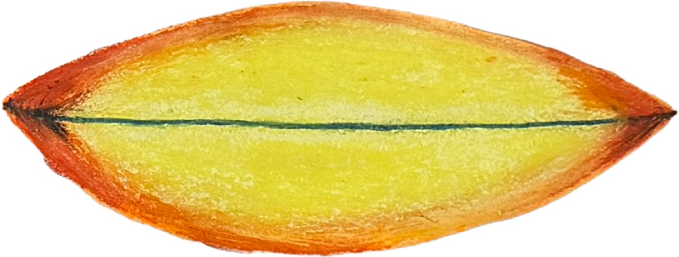 A painted surfboard with a yellow-orange gradient.