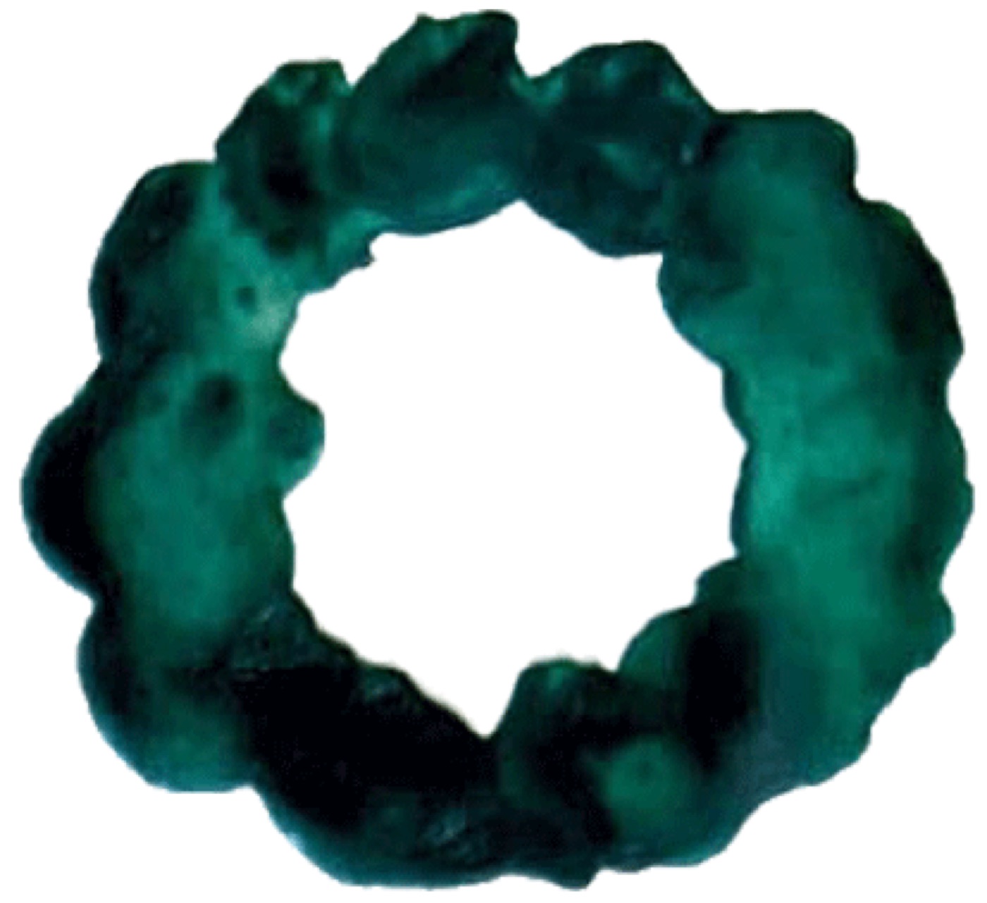 A painted circular wreath in dark teal-green tones.